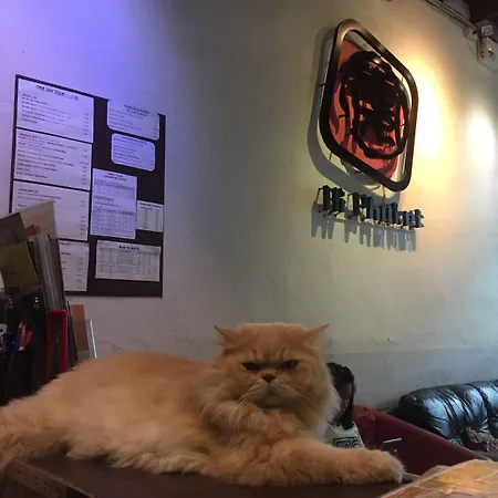Ai Phuket Hostel-3